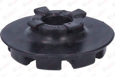 SAIBA ARC BIRTH 56763 7