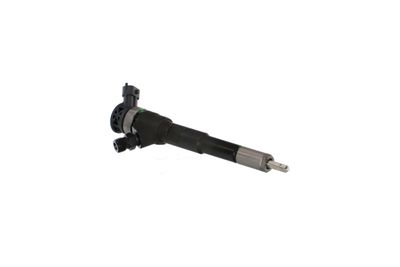 INJECTOR REMANTE 002003001494R 51