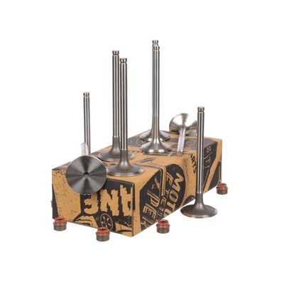 SET SUPAPE SUPAPă ADMISIE/EVACUARE ET ENGINETEAM VS0023VR1 14