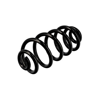 ARC SPIRAL EIBACH R10114 16