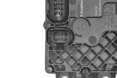 UNITATE DE COMANDă TRACțIUNE INTEGRALă BorgWarner DS2027113 4