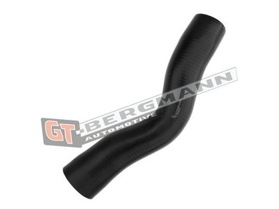 GT-BERGMANN Automotive Kompresoriaus padavimo žarna