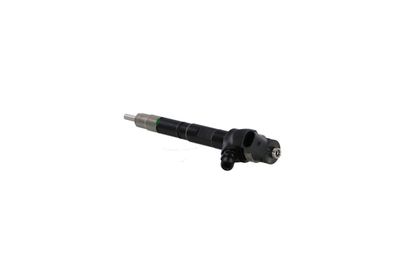 INJECTOR REMANTE 002003001489R 15