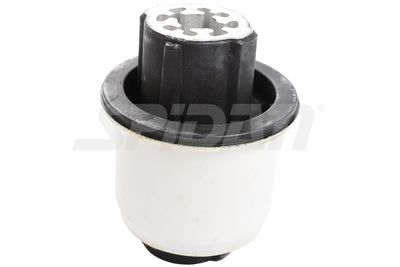 LAGERUNG ACHSKöRPER