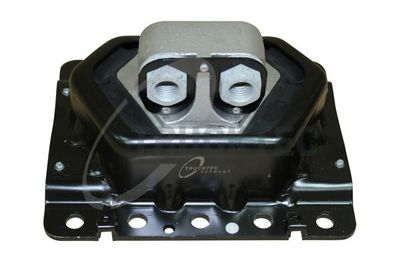 TRUCKTEC AUTOMOTIVE Variklio montavimas