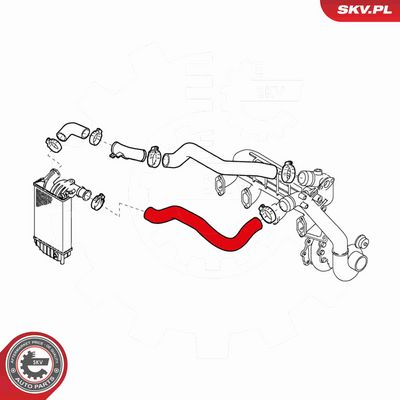 FURTUN EAR SUPRAALIMENTARE ESEN SKV 43SKV083 2