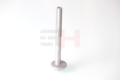 SURUB CORECTARE INCLINARE GH GH391590 24