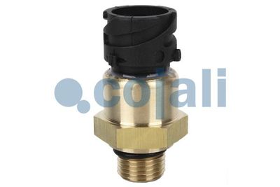 Vorschau Sensor, Öldruck