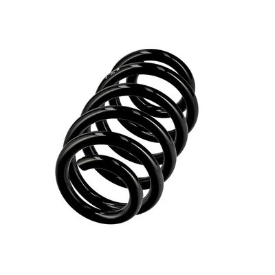 ARC SPIRAL EIBACH R10664 14