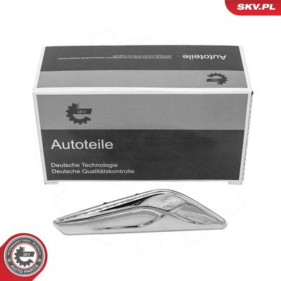 ORNAMENT SEMNALIZATOR