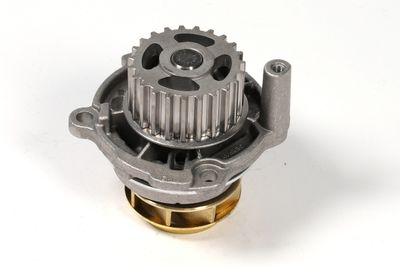 Water Pump, engine cooling P545