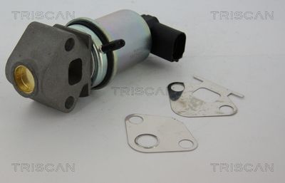 Supapa EGR TRISCAN 8813 29011