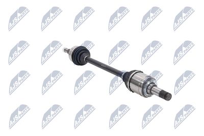 PLANETARA NTY NPWCH126 31