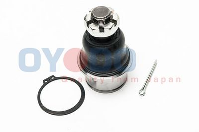 Trag-/Führungsgelenk