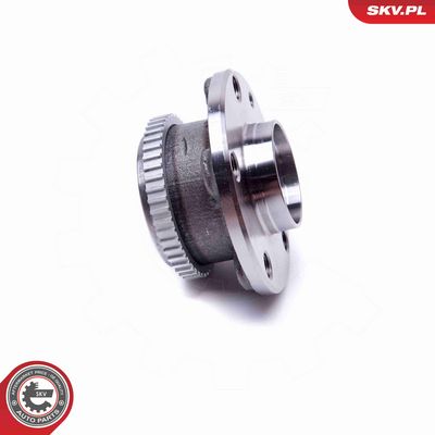 SET RULMENT ROATA ESEN SKV 29SKV538 1