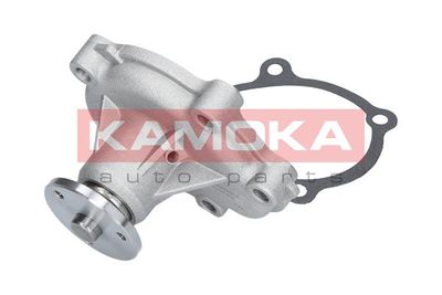 Water Pump, engine cooling T0233