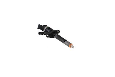 INJECTOR REMANTE 002003001132R 47