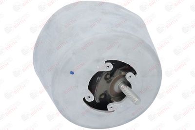 SUPORT MOTOR BIRTH 50746 2