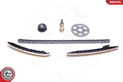 Timing Chain Kit 21SKV212