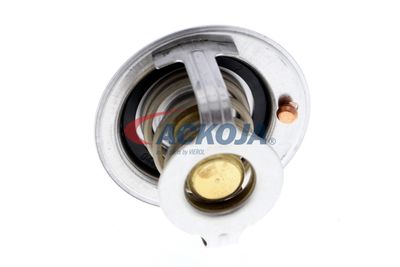 TERMOSTAT LICHID RACIRE ACKOJA A32990004 46