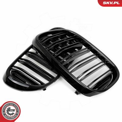 GRILA RADIATOR ESEN SKV 66SKV223 3