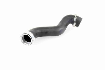 FURTUN EAR SUPRAALIMENTARE