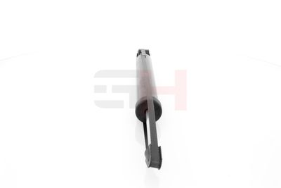 AMORTIZOR GH GH339953 17