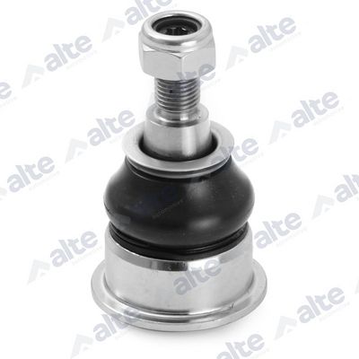 ARTICULATIE SARCINA/GHIDARE