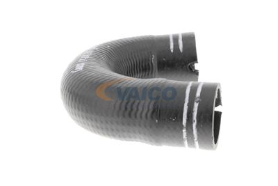 FURTUN EAR SUPRAALIMENTARE VAICO V240804 47