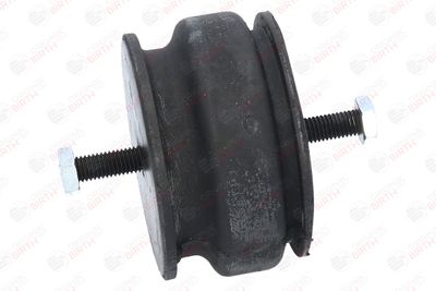SUPORT MOTOR BIRTH 5527 10