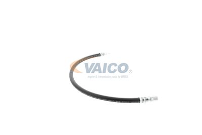 FURTUN FRANA VAICO V309926 45