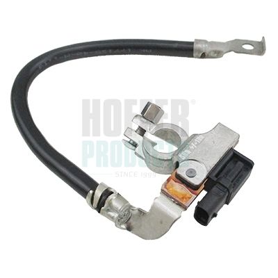 сензор, мениджмънт, акумулатор HOFFER 241007
