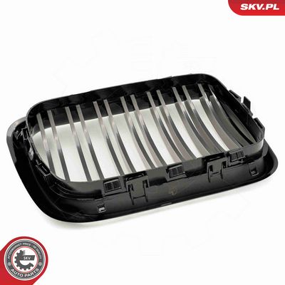 GRILA RADIATOR ESEN SKV 66SKV054 8