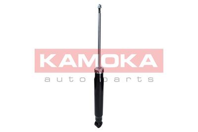 Shock Absorber 2000881