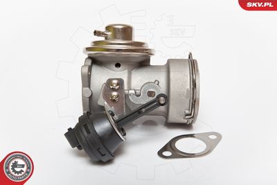 EGR Valve 14SKV081