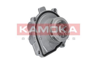 Water Pump, engine cooling T0009