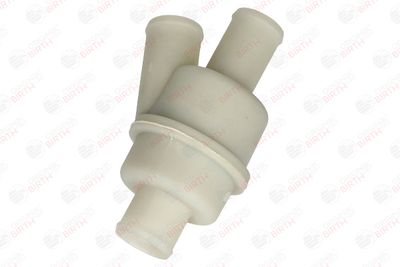 FLANSA LICHID RACIRE BIRTH 81760 11