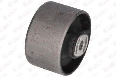 SUPORT MOTOR BIRTH 5925 5