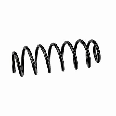ARC SPIRAL EIBACH R10795 6