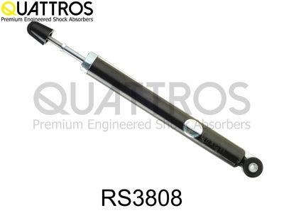 Amortyzator DAVID VASCO RS3808