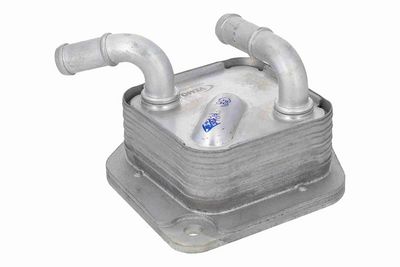 RADIATOR RACIRE ULEI CUTIE DE VITEZE AUTOMATA ACKOJA A26600008 2