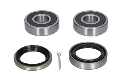 Kavo Parts Rato guolio komplektas