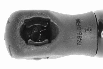 GASFEDER KOFFER-/LADERAUM VAICO V251065 1