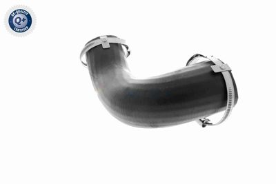 LADELUFTSCHLAUCH VAICO V251058 6