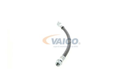FURTUN FRANA VAICO V104127 23