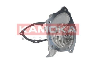 Water Pump, engine cooling T0205