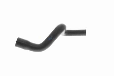 FURTUN RADIATOR VAICO V304259 6