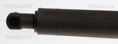 Plynárenská vzpera (pneumatická pružina), zavazadlový priestor TRISCAN 8710 23325
