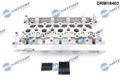 Głowica silnika DR.MOTOR AUTOMOTIVE DRM18403