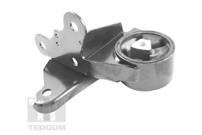 SUPORT MOTOR TEDGUM 00131530 1